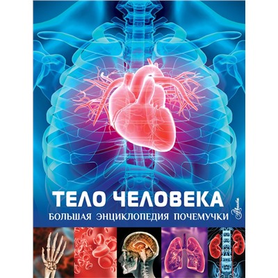 АСТ Хибберт К. "Тело человека"