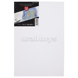Холст грунтованный на подрамнике "Аква-колор" Изостудия 100% хлопок 20х30 см 260 г/кв.м мелкозернистый