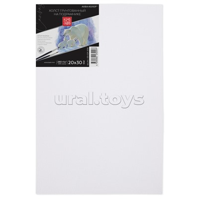 Холст грунтованный на подрамнике "Аква-колор" Изостудия 100% хлопок 20х30 см 260 г/кв.м мелкозернистый