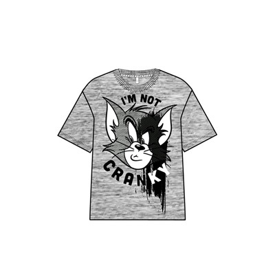 Фуфайка трикотажная для мальчиков (футболка)