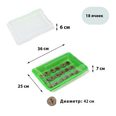 Мини-парник для рассады: торфяная таблетка d=4.2 см (18 шт.), парник 36×25 см, зелёный