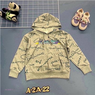 Толстовка 1812067-1