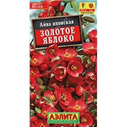 1185A Айва японская Золотое яблоко 10 шт