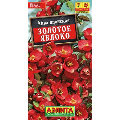 1185A Айва японская Золотое яблоко 10 шт