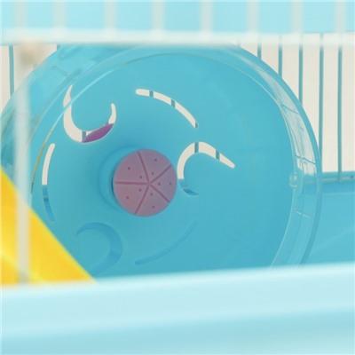 Клетка для грызунов «Пижон», 31×24×27 см, с замком, пластик, металл, голубая