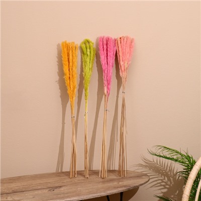 Набор сухоцветов, 80 см, 10 шт., микс