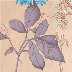 Постельное бельё 2-спальное Newday Soft time, полисатин