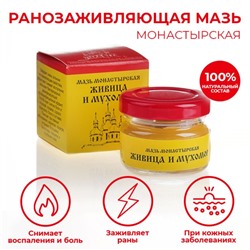 Мазь «Монастырская Живица с Мухомором». Ранозаживляющая. Стекло. 28 мл.
