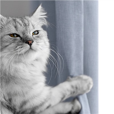 Волшебная Ночь Шторы 921773