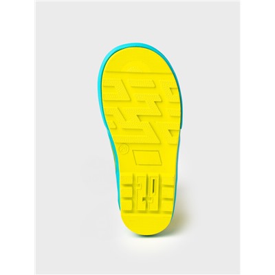 Сапоги резиновые для мальчиков