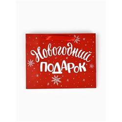 Пакет подарочный ламинированный «Новогодний подарок», MS 23×18×10 см