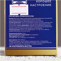 Гель для душа водка «Успеха и денег!», 250 мл, аромат перца и апельсина, Чистое счастье