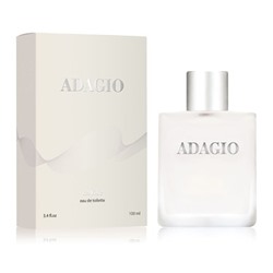 Туалетная вода мужская Adagio (Адажио) 100 мл