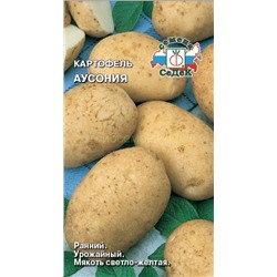Картофель  Аусония (Седек)