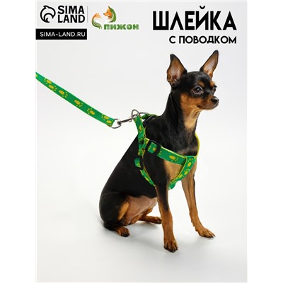 Шлейка с поводком «Большая лапа», ширина 1.5 см, поводок 120 см, шлейка 28-42 см, зелёная, жёлтая