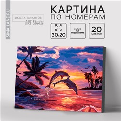 Картина по номерам на холсте с подрамником «Игра дельфинов» 20×30 см