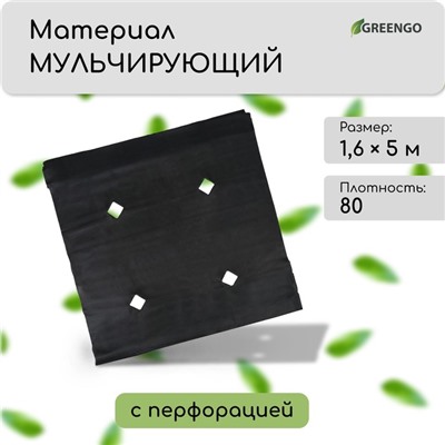 Материал мульчирующий, с перфорацией, 5×1.6 м, плотность 80 г/м², спанбонд с УФ-стабилизатором, чёрный, Greengo, Эконом 30%