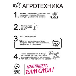 Семена комнатных цветов Пеларгония "Горизонт Пьюр Вайт", ц/п,  3 шт