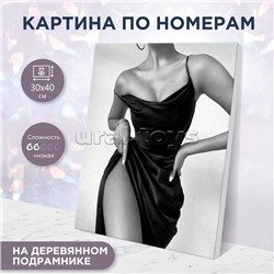 Картина по номерам 30х40 "Соблазн" (8 цветов)