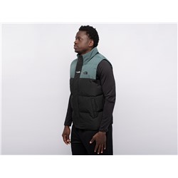Жилет The North Face