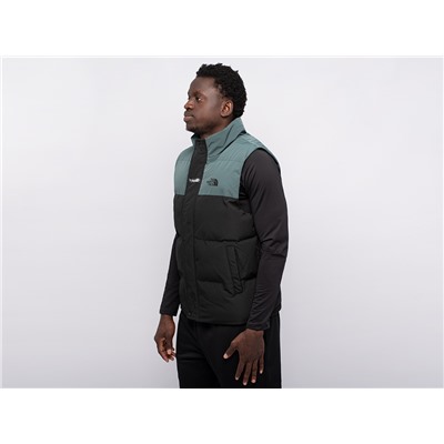 Жилет The North Face