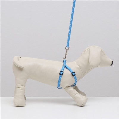 Шлейка с поводком «Классика», ОГ 21-35 см, поводок 120×1 см, капрон, голубая