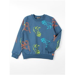 Кофта для мальчика Bonito