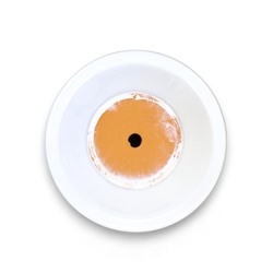 УЦЕНКА Горшок для цветов «Афродита», керамический, 1.7 л, белый