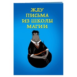 Эксмо "Жду письма из школы магии (блокнот в мягкой обложке линейку)"