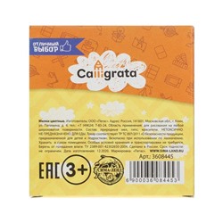 Мелки цветные Calligrata, в наборе 6 штук, квадратные, МИКС