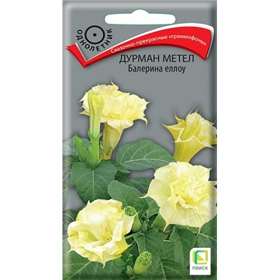 Дурман метел Балерина Еллоу (Код: 14296)