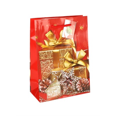 Пакет подарочный Новый год 17х24х8 / 1700S /уп 12/960/128г/м2 микс