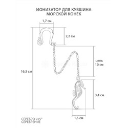 Ионизатор из серебра - Морской конек и-009