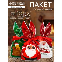 Пакет подарочный новогодний, полиэтиленовый с ушками «Дед Мороз в очках», МИКС, 13×23 см