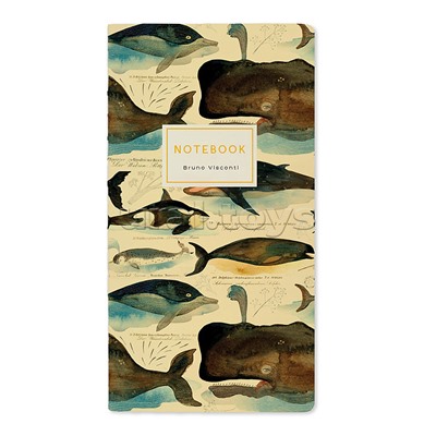 Записная книжка А6 30л, линовка в точку "Fauna. Киты" А6 обложка софт тач, кремовая бумага, прошивка