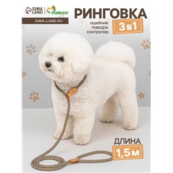 Ринговка для собак, 150×0.6 см, бежевая