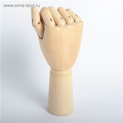 Модель деревянная художественная Манекен «Рука мужская правая» 31 см