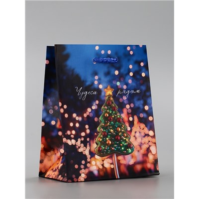 Пакет подарочный новогодний ламинированный, «Чудеса рядом», 11.5×6.5×14.5 см