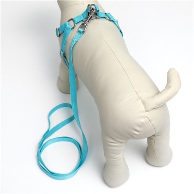 Комплект с мягкой шлейкой, быстросъемный, M, поводок 140 см, ОШ 44-48 ОГ 51-60 см, бирюзовый