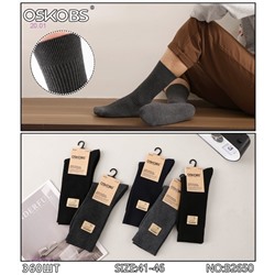 Носки мужские 10 пар 2054229-1