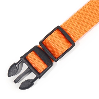 Ошейник, размер L, ОШ 45-52×2.5 см, с подсветкой, 3 режима свечения, оранжевый