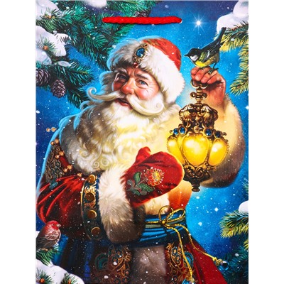 Пакет подарочный новогодний ламинированный, «Дед Мороз», 18×10×22.3 см