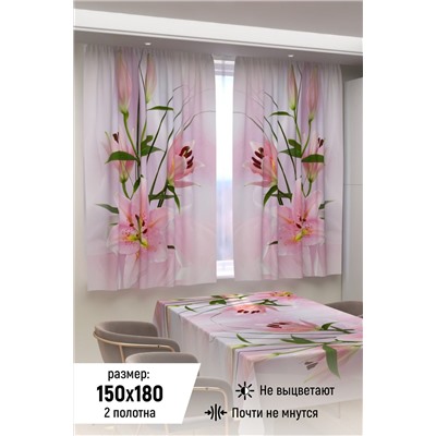 Фотошторы 10862 НАТАЛИ, 926511