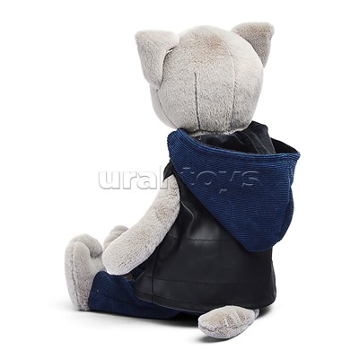 Кот Фред в жилетке В27