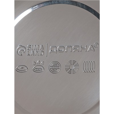 Чайник Доляна «Квант», 2.8 л, со свистком, фиксированная ручка soft-touch, нержавеющая сталь, хромированный