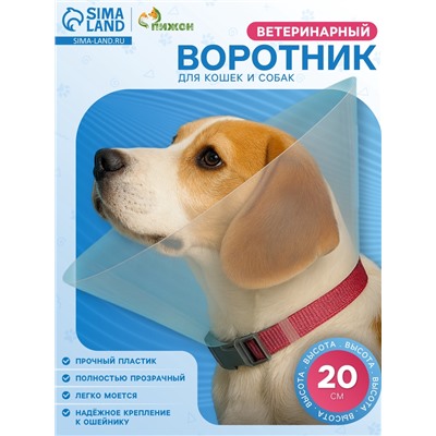 Ветеринарный воротник с креплением на ошейник, ОШ 14-34 см, высота 20 см, без ошейника