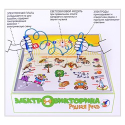 Электровикторина. Родная речь