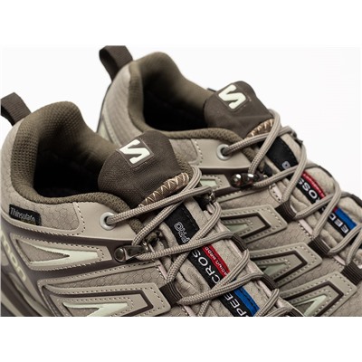 Кроссовки Salomon X Ultra Pioneer