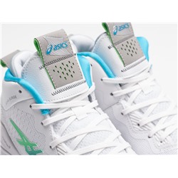 Кроссовки Asics Nova Surge 2