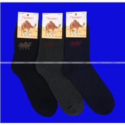 3 ПАРЫ - Термоноски мужские внутри махра ВЕРБЛЮЖЬЯ ШЕРСТЬ арт.1682 АССОРТИ